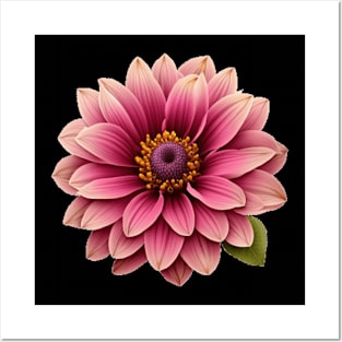 Pink Dahlia Posters and Art